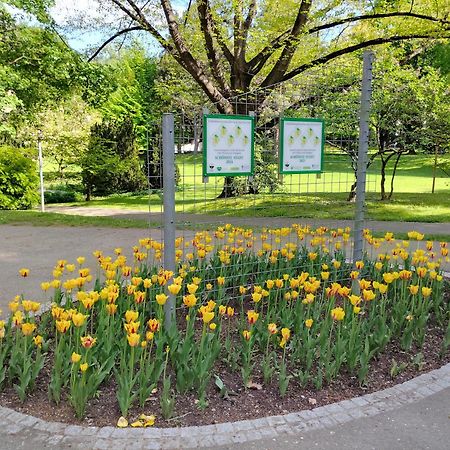 Wohnung In Leoben Zentrum Zwischen Hauptplatz Und Stadtpark Exteriér fotografie